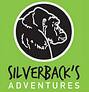 silverback's Avatar